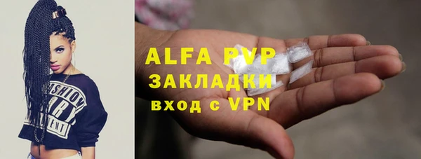 прущий лед Алзамай
