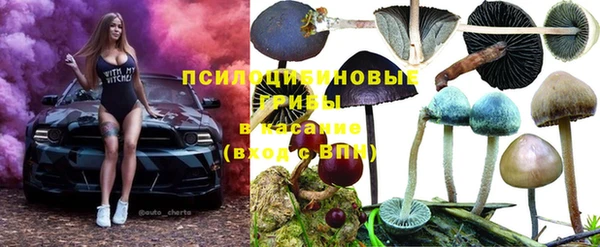 скорость Абинск