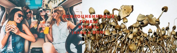 прущий лед Алзамай