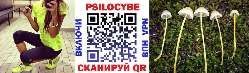 Галлюциногенные грибы MAGIC MUSHROOMS  где продают   Череповец 